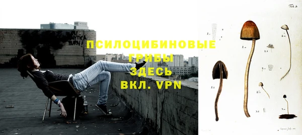 амф Алексеевка