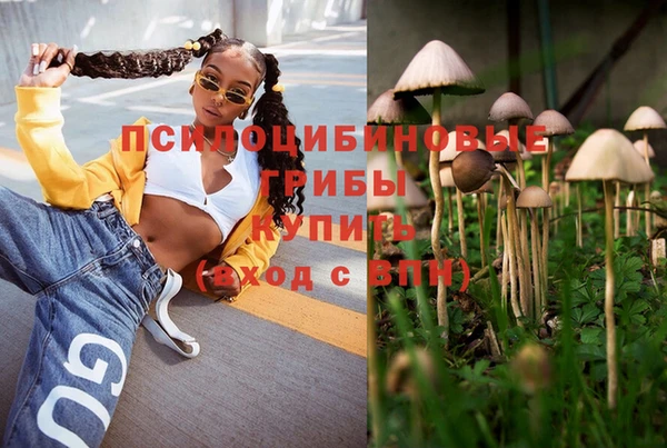 амф Алексеевка