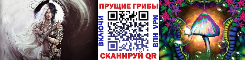 Галлюциногенные грибы ЛСД Пучеж