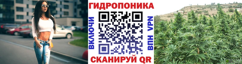 Бошки Шишки конопля Пучеж